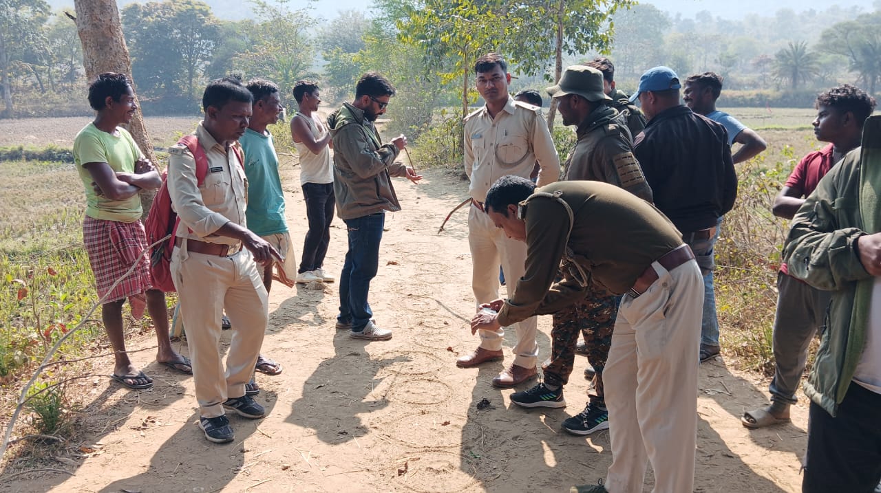 Jamshedpur : पलामू टाइगर रिजर्व से भटका बाघ तीसरी बार पहुंचा दलमा, 85 गांव में दहशत