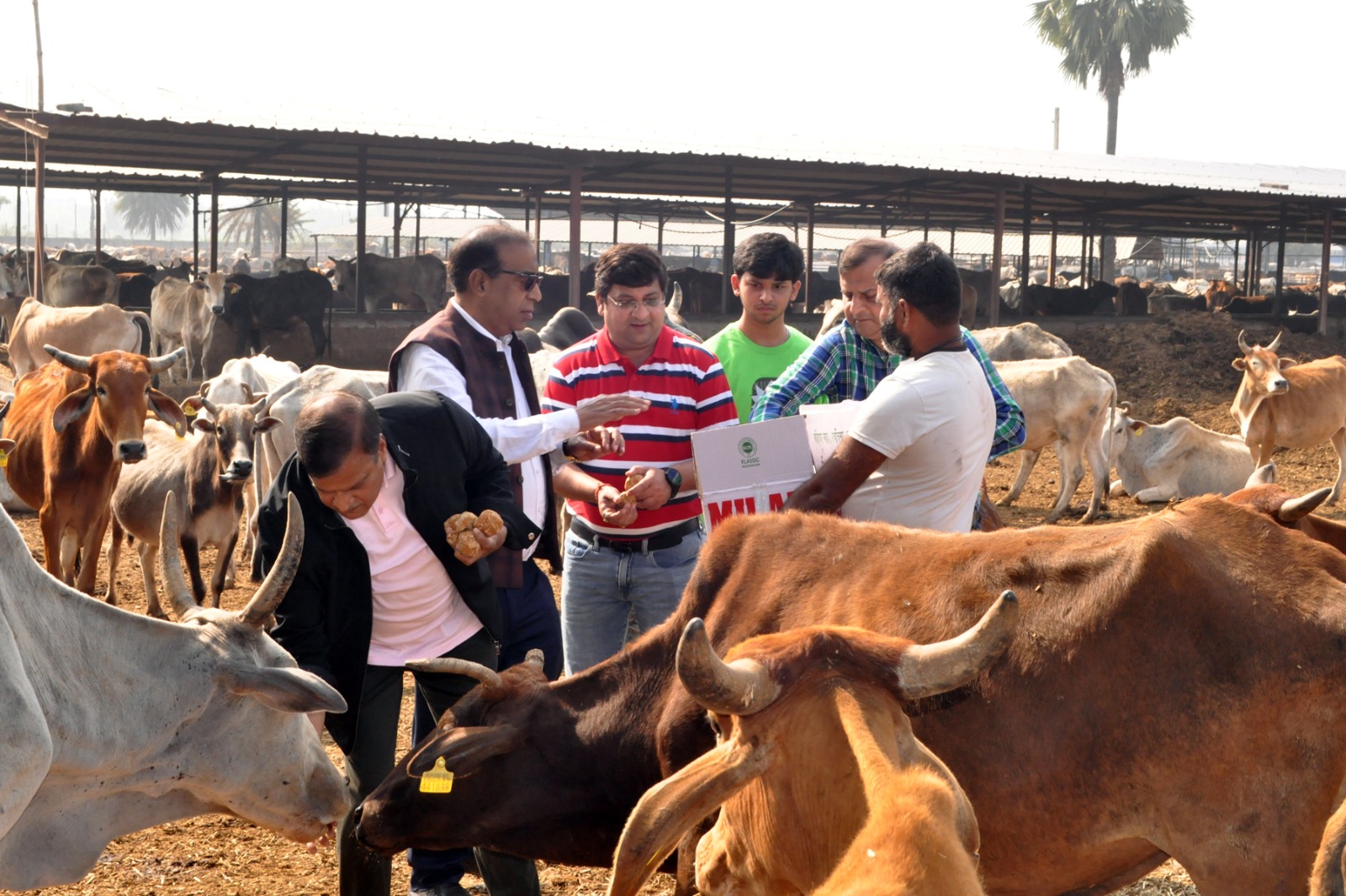 Jamshedpur: सिंहभूम चैम्बर के वार्षिक वनभोज में परिवार सहित उमड़ा जनसैलाब, गोशाला में की गौ सेवा