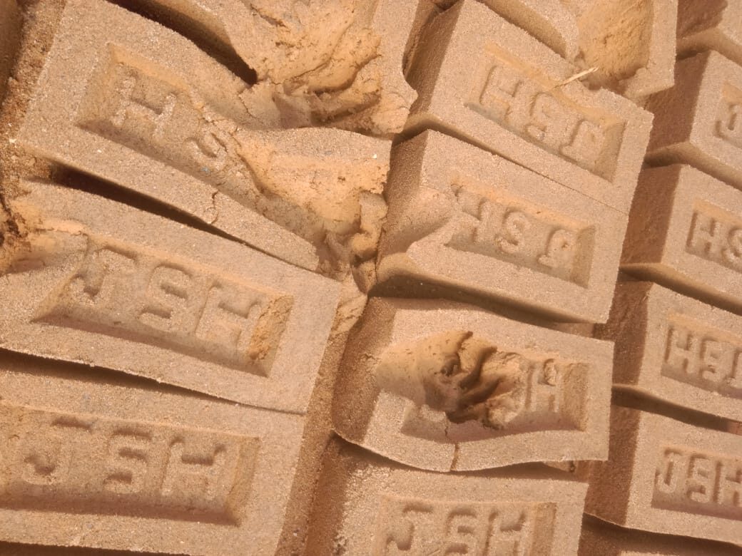 Gamharia : सालमपाथर में बाघ आने की आशंका से लोगों में दहशत, वन विभाग ने शुरू की जांच