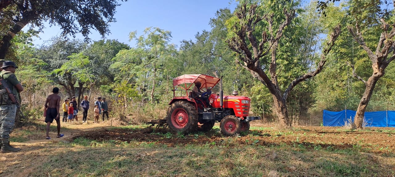 Ramgarh: अवैध अफीम की खेती के खिलाफ अभियान, 06 एकड़ में लगे अफीम के पौधों को किया गया नष्ट