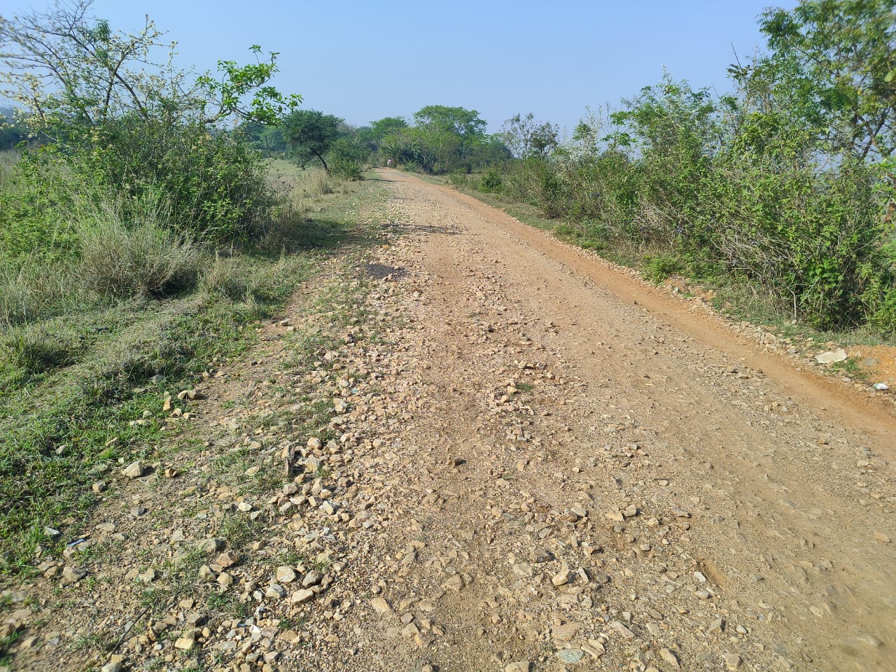 Baharagora : बामडोल-चड़कमारा सड़क बदहाल, ग्रामीण परेशान