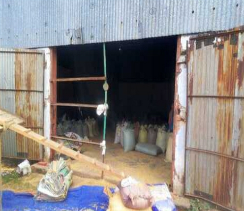 चाकुलिया में कृष्णा शॉप फैक्ट्री का गेट तोड़कर परिसर में घुसा हाथी, धान खाने के बाद छिंटकर किया बर्बाद