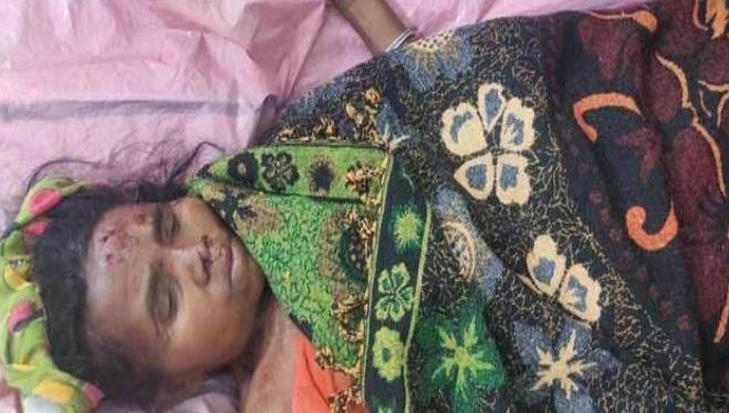 रघुनाथपुर में तालाब में नहाने जा रही महिला को हाथी ने पटका, हालत गंभीर