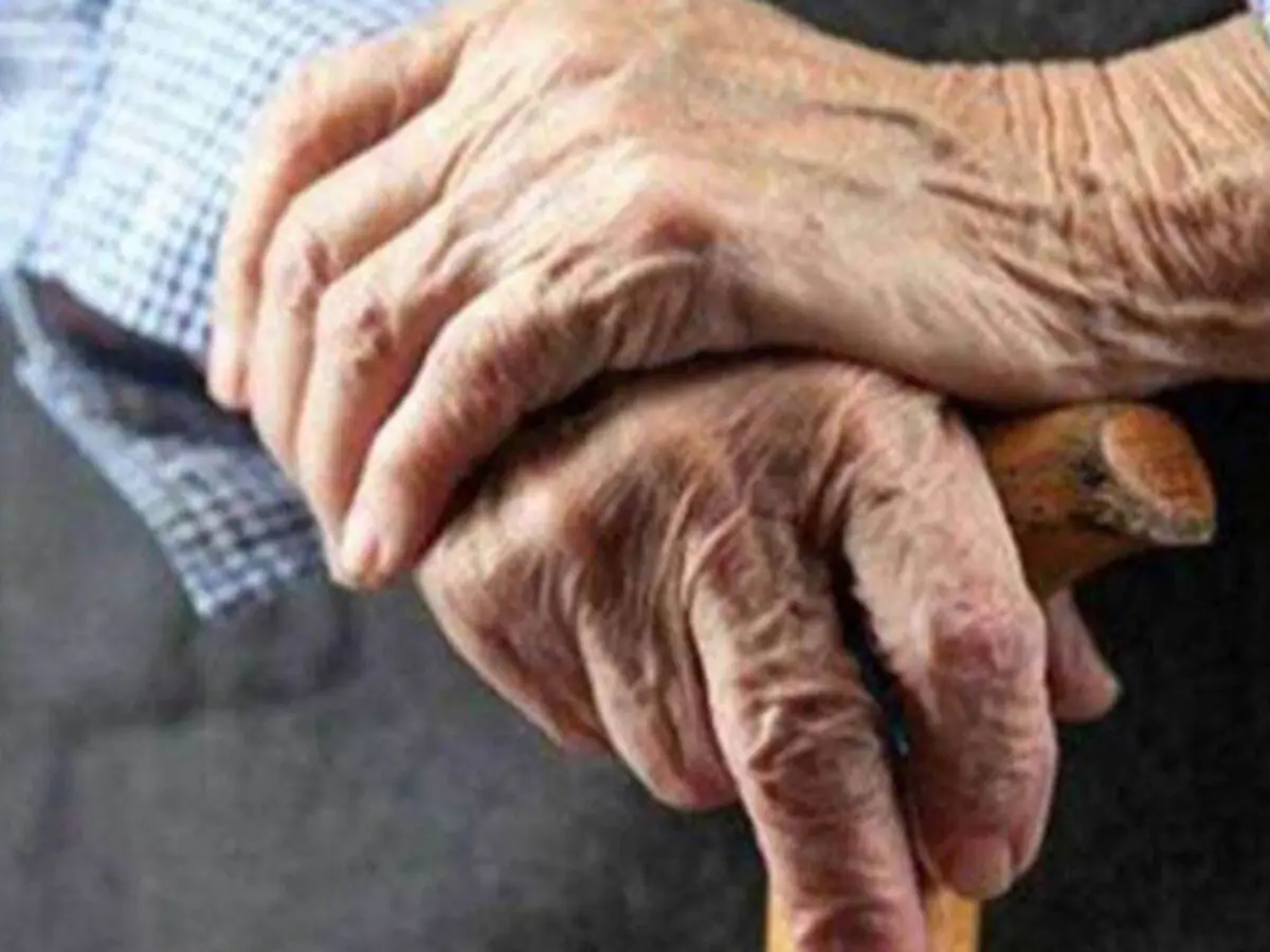 डुमिरया प्रखंड क्षेत्र में 11582 लोगों को कई महीनों से नहीं मिली पेंशन