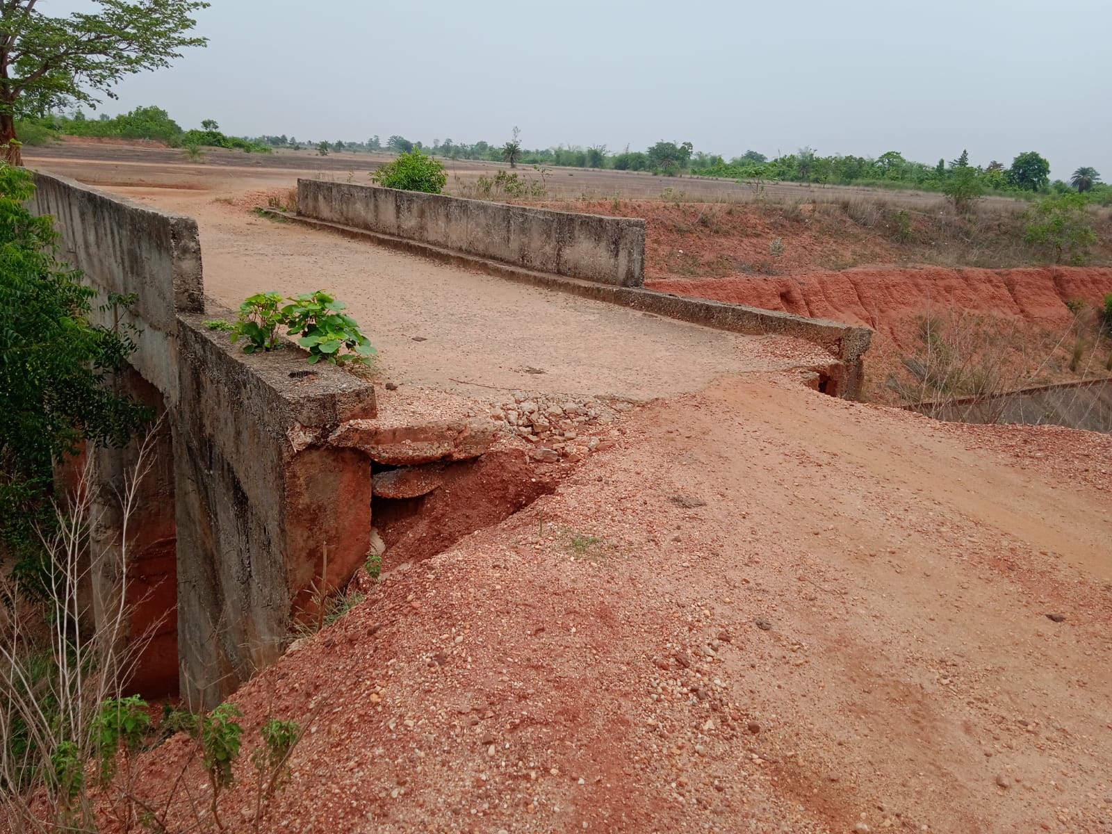 Chakulia : बड़ी दुर्घटना को आमंत्रित कर रही है शाखा नहर पर बनी जर्जर पुलिया