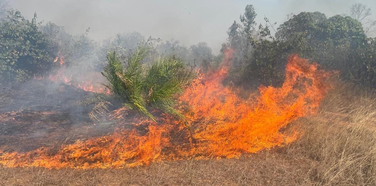 Chakuliya : गर्मी की दस्तक शुरू होते ही जंगलों में आग लगने का दौर शुरू, जलने लगे जंगल