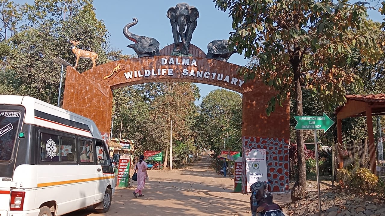 Seraikela : दलमा सेंचुरी में गजों का आगमन शुरू, देश विदेश से आ रहे पर्यटक