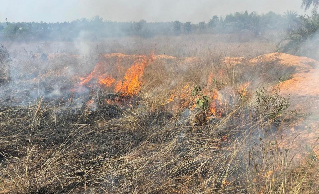 Chakulia: हवाई पट्टी के पास झाड़ियों में लगी भीषण आग