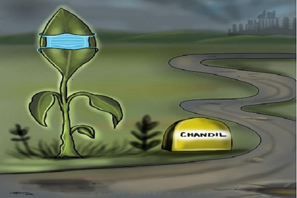 Chandil : कार्टून आर्ट के माध्यम से जनता को जागरुक कर रहे हैं कलाकार सौरभ