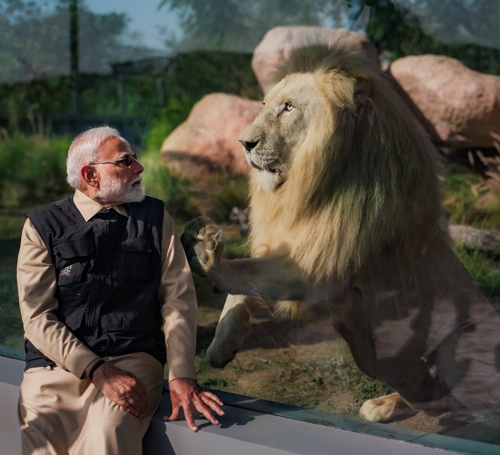 Pm Modi: प्रधानमंत्री मोदी पहुंचे ‘वांतारा’, विभिन्न प्रजातियों के जानवरों के साथ बिताया समय – शेर को पिलाया दूध, देखिए मनमोहक तस्वीरें