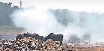 Adityapur : आदित्यपुर में खरकई तट पर डंप कर जलाया जा रहा कचरा, एनजीटी के निर्देशों का हो रहा उल्लंघन