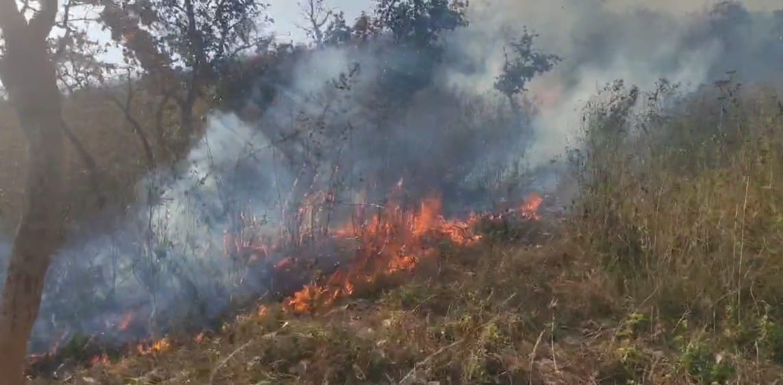 Saraikela : केंदाआंदा जंगल में लगी भीषण आग, ग्रामीणों ने पाया आग पर काबू