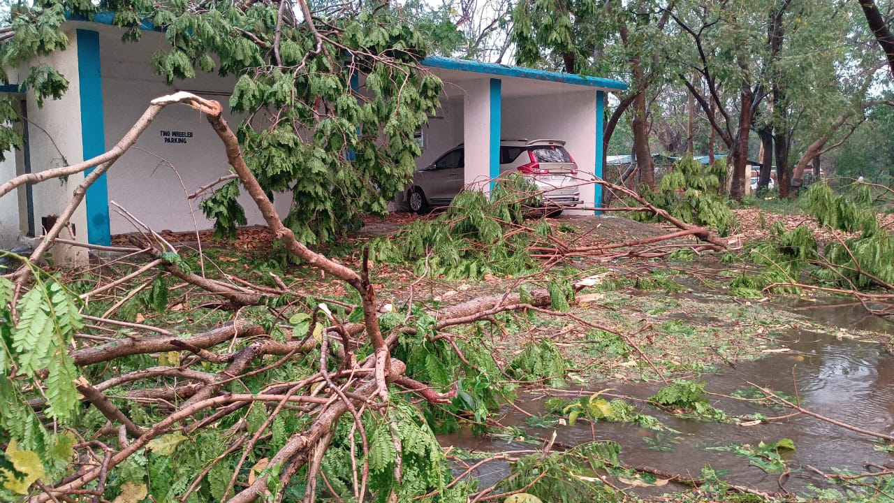Jadugora :  तूफान ने मचाई तबाही, आंधी में डाककर्मी का सर फटा, घरों की छतें उड़ी