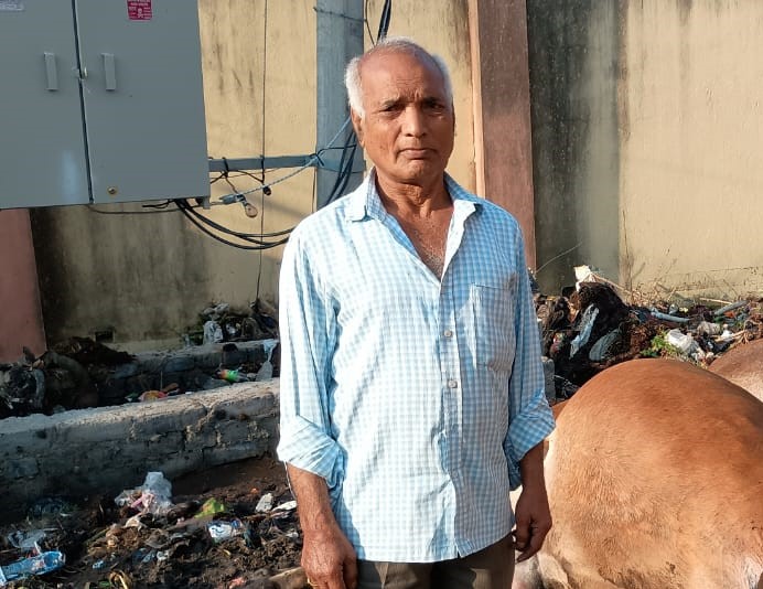 Jadugora : दो पशुओं की करंट लगने से मौत, पशुपालकों ने मुआवजे की मांग की