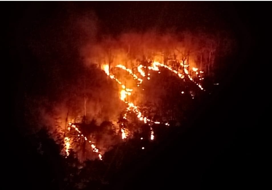 Jharkhand: सुलग रहा एशिया का सबसे बड़ा साल वन – बर्बाद हो रही वन सम्पत्तियाँ, पारिस्थितिकी तंत्र पर गंभीर संकट