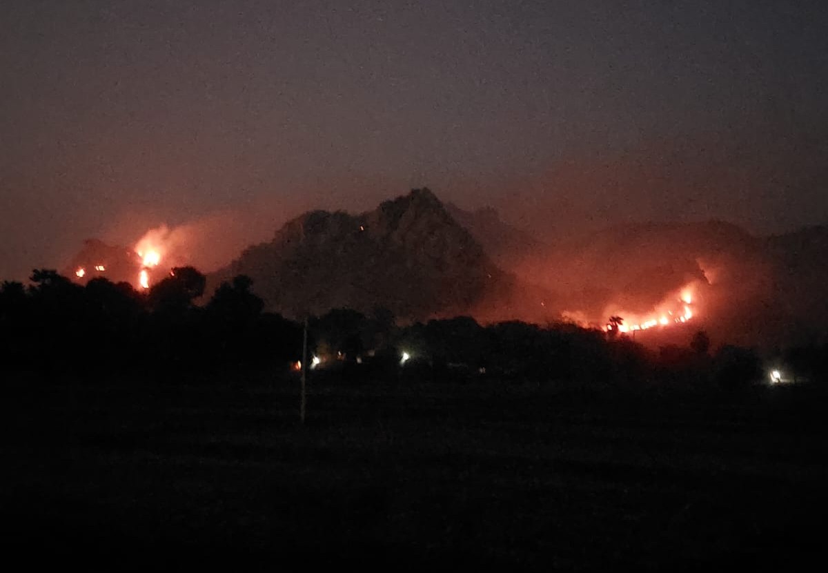 Deoghar: गर्मी में त्रिकूट के जंगलों में फिर लगी आग, पर्यावरण पर पड़ सकता है गंभीर असर