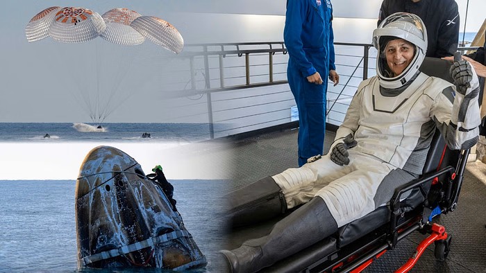 Sunita Williams: 286 दिन के बाद वापस लौटी सुनीता विलियम्स, डॉल्फिन ने यूँ किया स्वागत