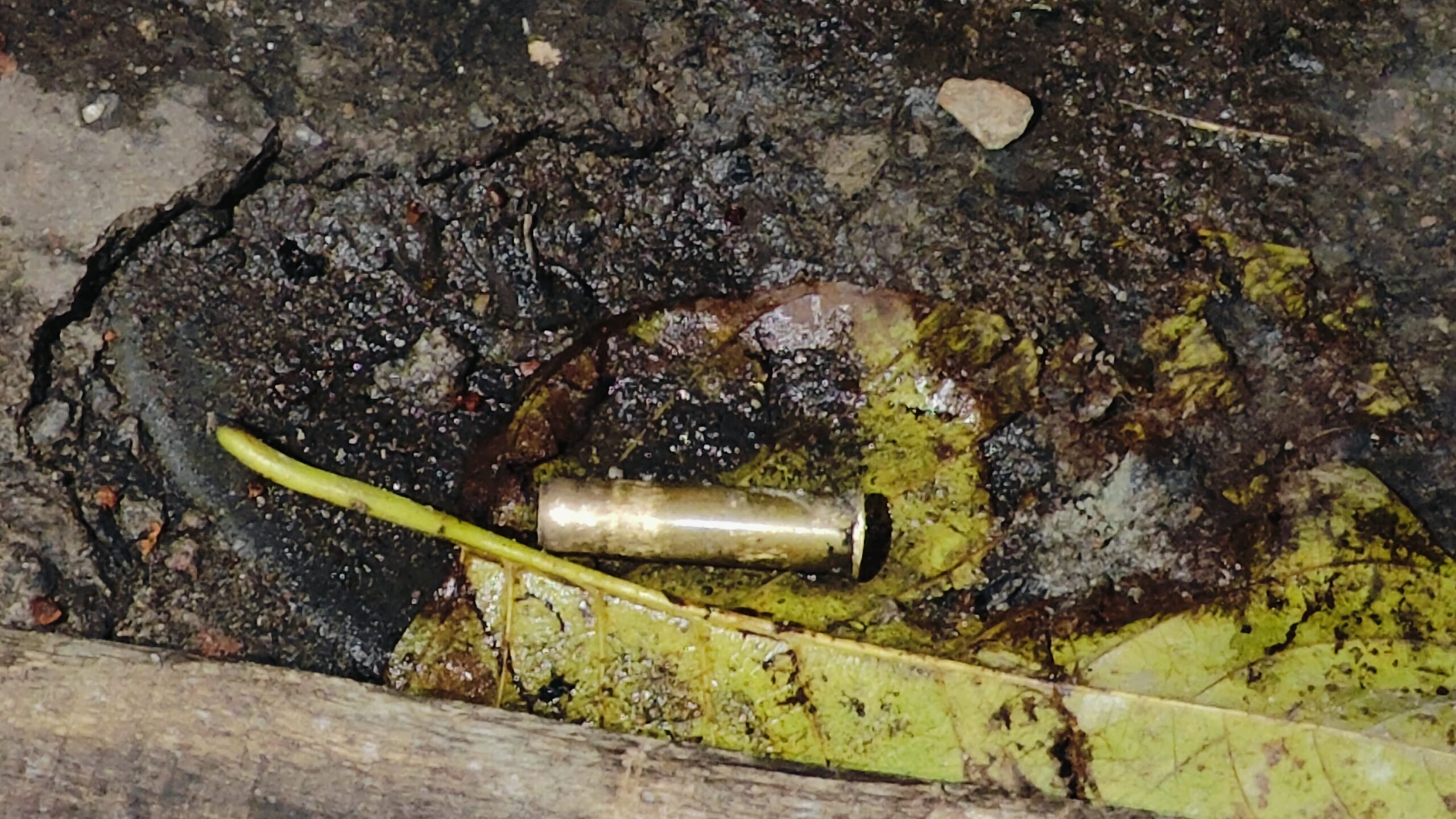 Jamshedpur: बर्मामाइंस में वर्चस्व को लेकर ताबड़तोड़ हवाई फायरिंग