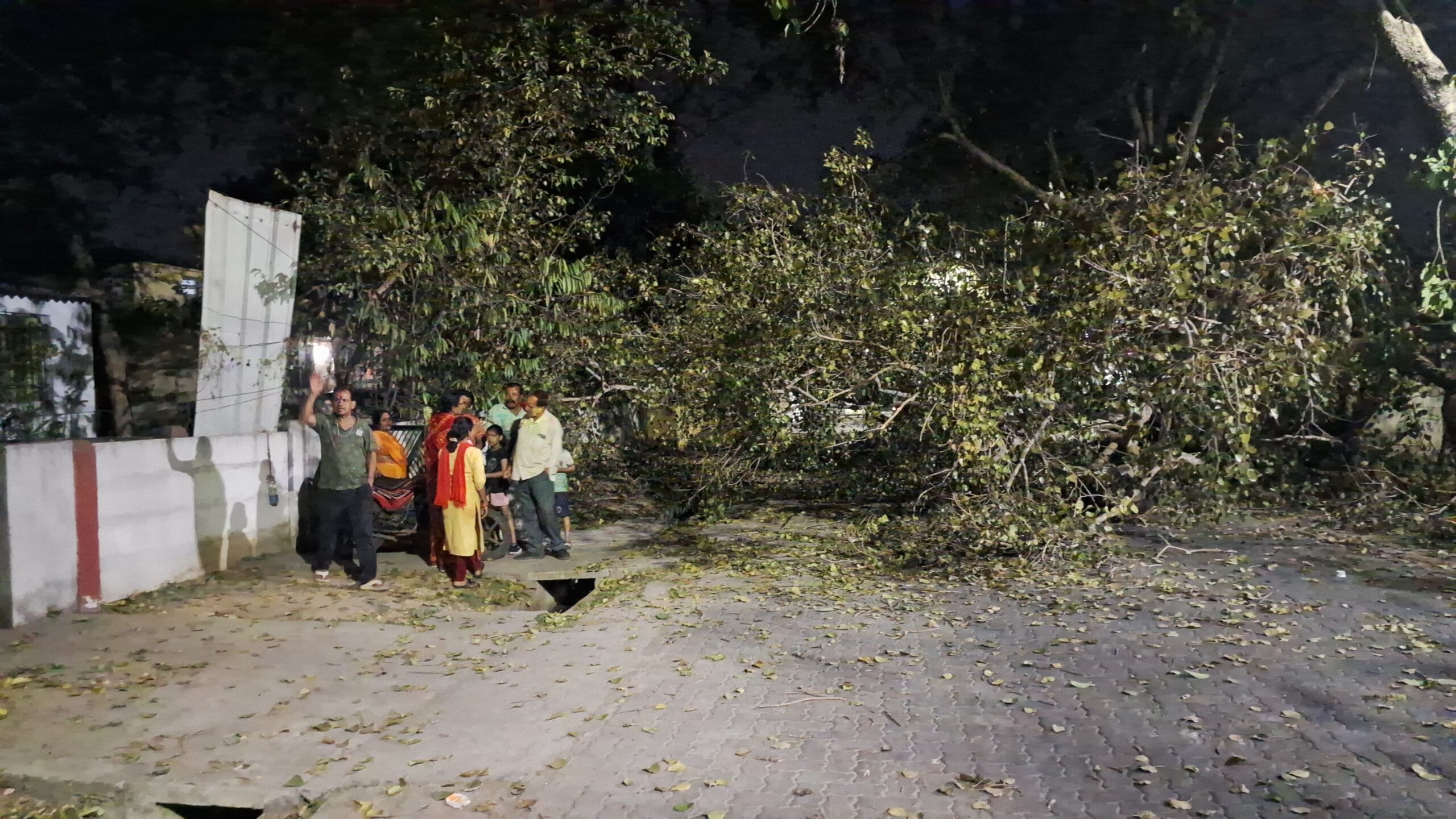 Jamshedpur: गोलमुरी थाना के बाहर गिरी पेड़ की डाल, एक की मौत, चार घायल