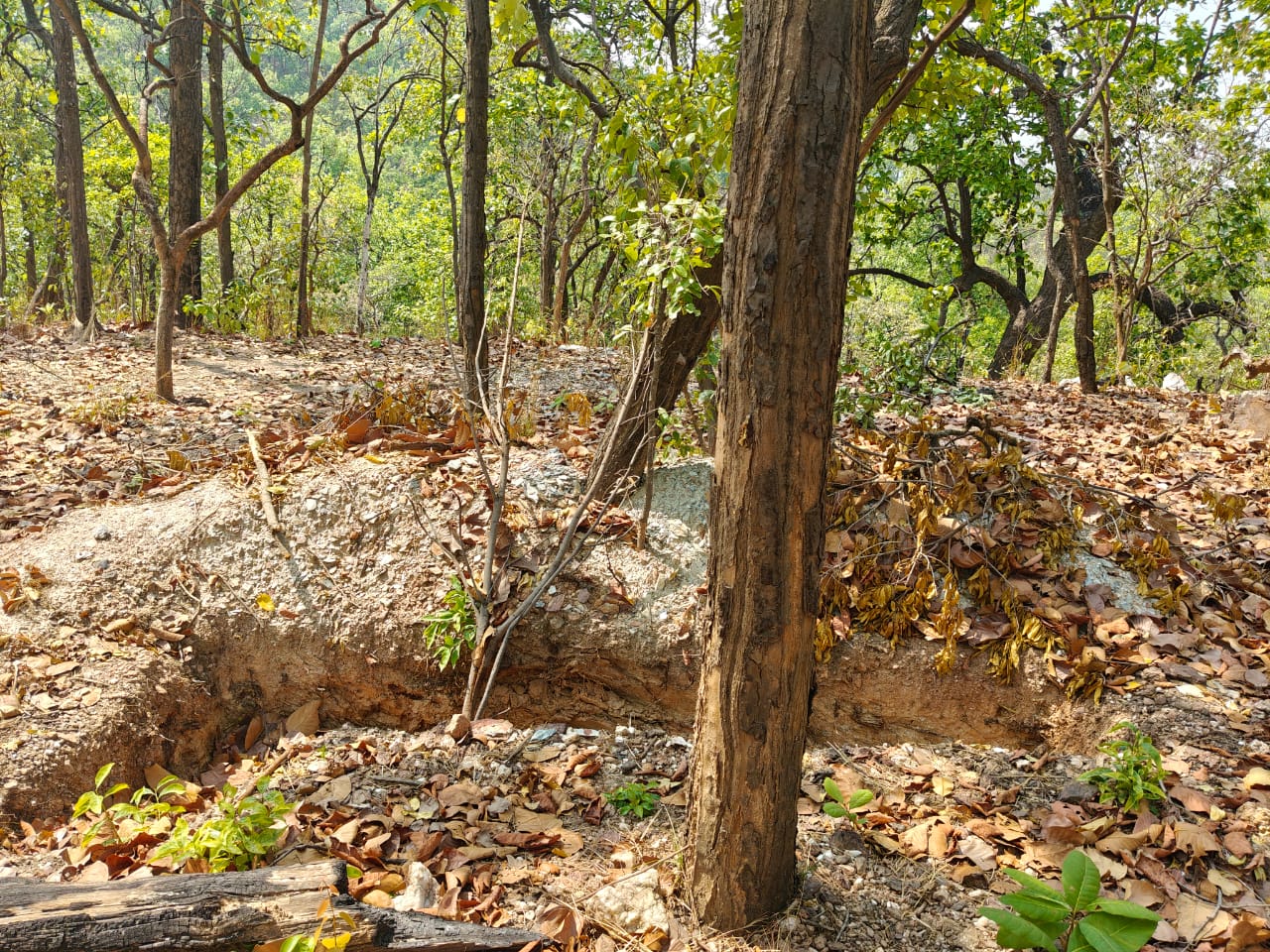 Chaibasa: सारंडा के जंगलों में माओवादी मूवमेंट – IED बरामद, बंकरों को किया गया ध्वस्त