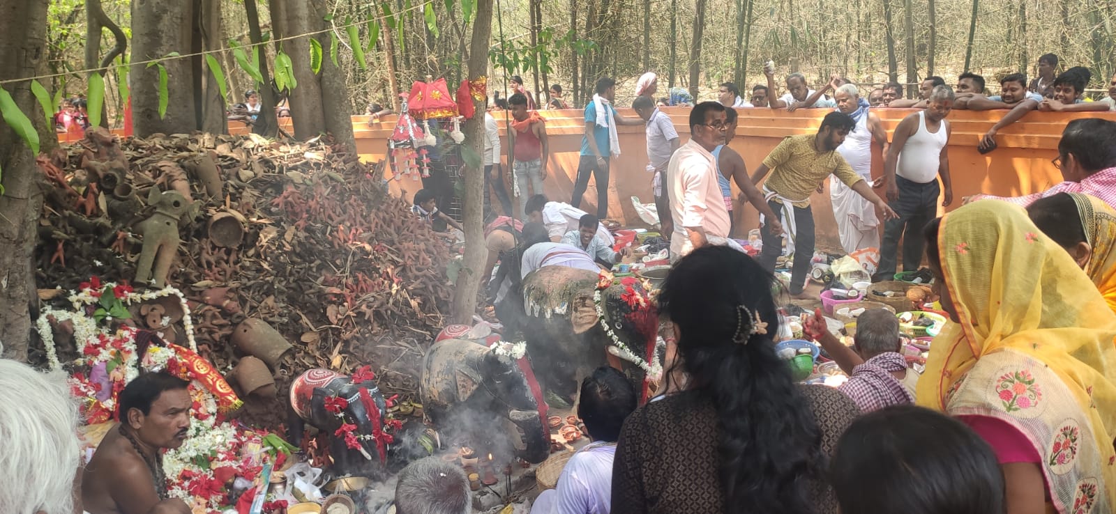 Baharagora: मानुषमुड़िया गांव में मां शीतला की हुई पूजा-अर्चना