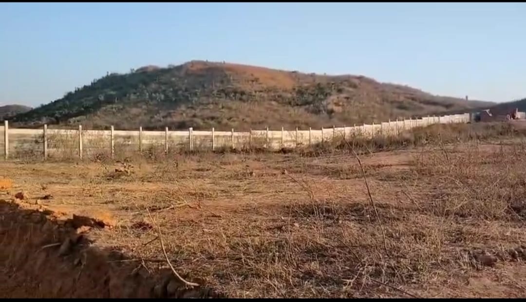 Bokaro : 103 एकड़ सरकारी भूमि के अवैध खरीद-बिक्री पर डीसी और वन विभाग के बीच तनातनी