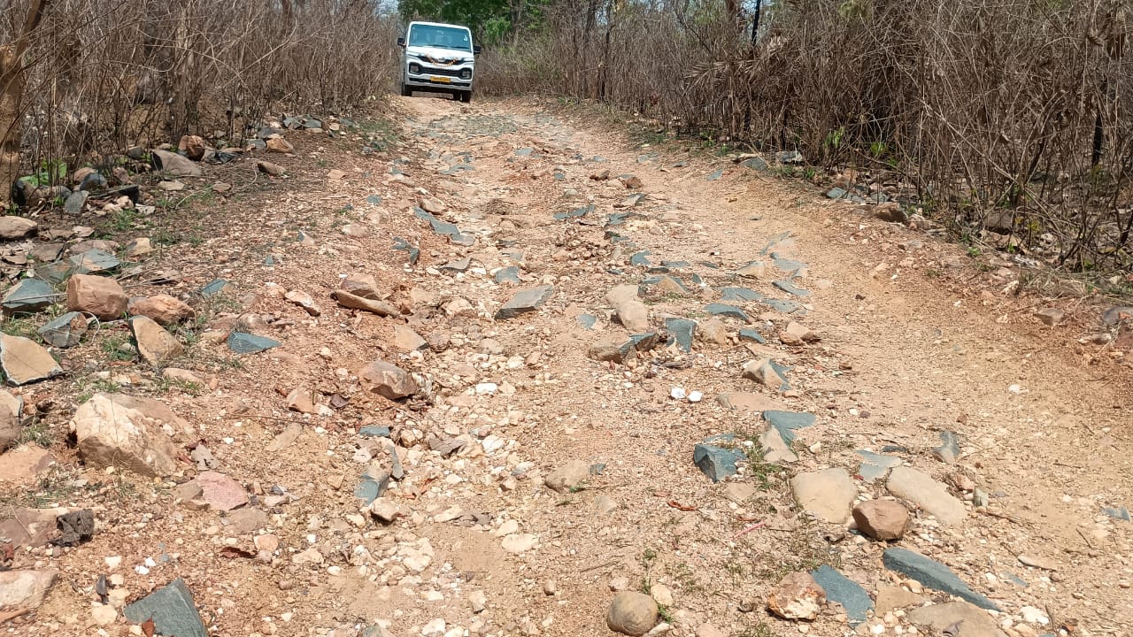 Potka: विकास के दावों के बीच पोटका का यह गांव हो रहा है उपेक्षा का शिकार, सड़क नहीं – खटिया ही है एंबुलेंस