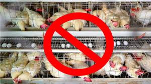 Ranchi: महावीर जयंती पर रांची में मांस-मछली की बिक्री पर रोक, उल्लंघन पर होगी कड़ी कार्रवाई