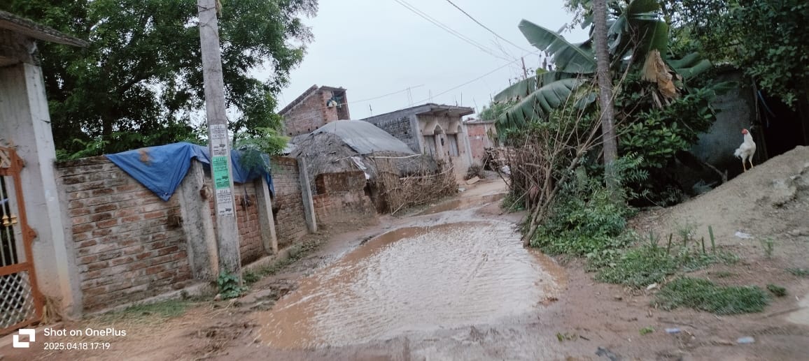 Bahragora: गड्ढों से भरी सड़क और डूबी पुलिया ने बढ़ाई ग्रामीणों की मुश्किलें, सड़क कब बनेगी हकीकत?