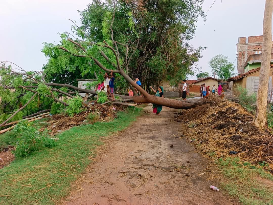 Deoghar: सिर्फ 10 मिनट की आंधी, और गांवों में छा गया अंधेरा, देवघर में तूफानी तबाही