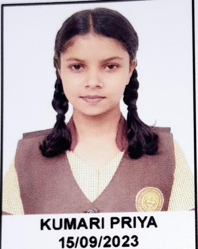 CBSE Result 2025: विद्या भारती इंग्लिश स्कूल का 100% रिजल्ट, कुमारी प्रिया बनी स्कूल टॉपर