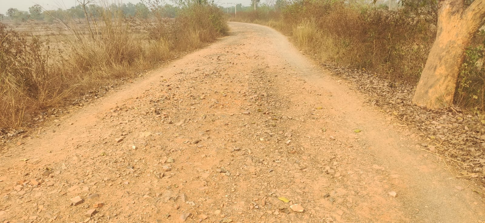 Bahragora:सड़क की बदहाली पर बोले ग्रामीण – गड्ढों से नहीं, अब उम्मीदों से डर लगता है