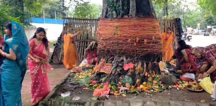 Saraikele: वट सावित्री की पूजा कर सुहागिनों ने की अखंड सौभाग्य की कामना