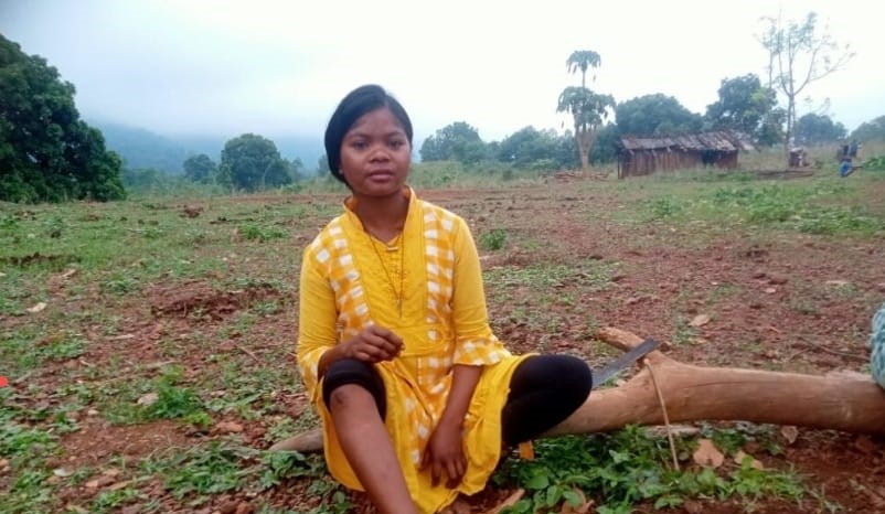 Gua: सारंडा के नवागांव व भनगांव में हाथी ने मचाया उत्पात, तीन घरों को तोड़ा, एक युवती घायल