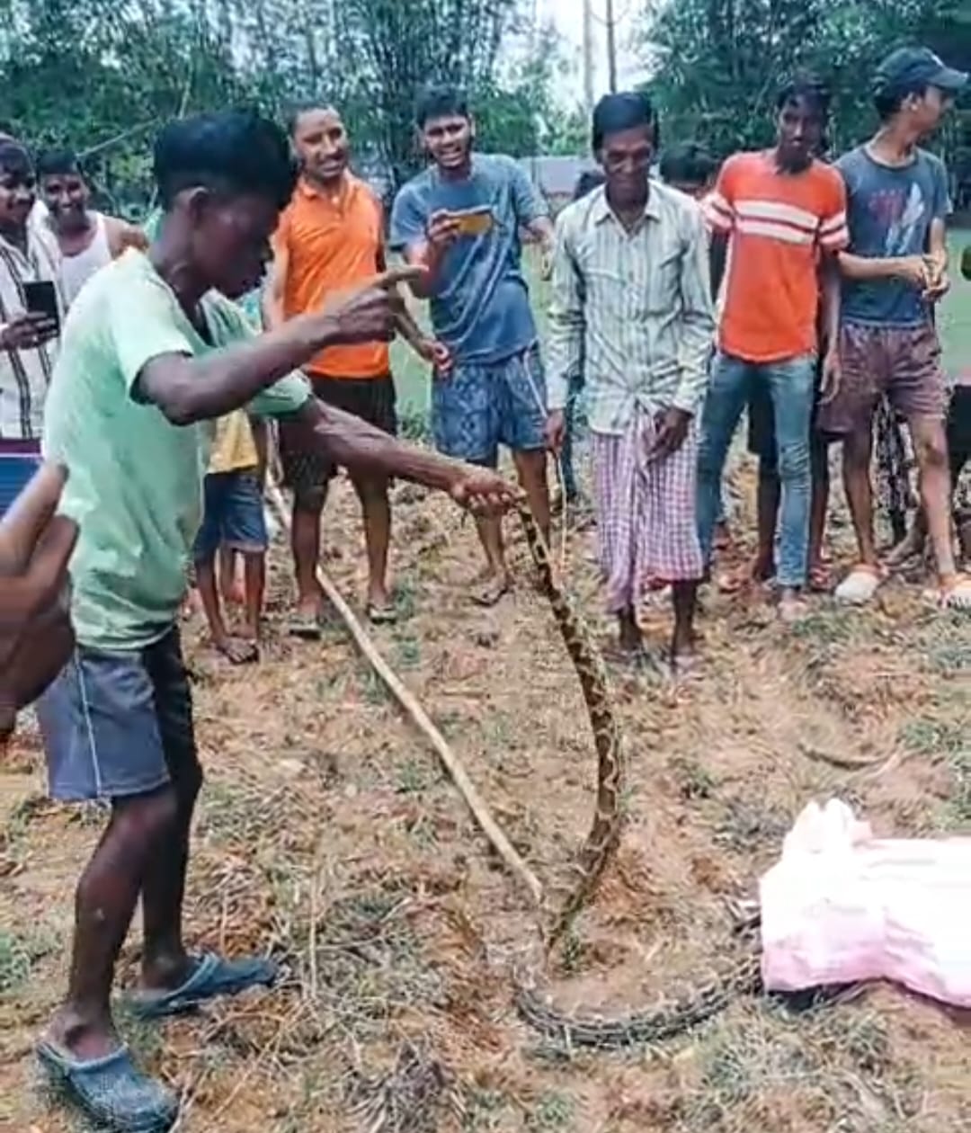 Deoghar: घनी आबादी में पहुंच गया अजगर, वन विभाग ने किया रेस्क्यू