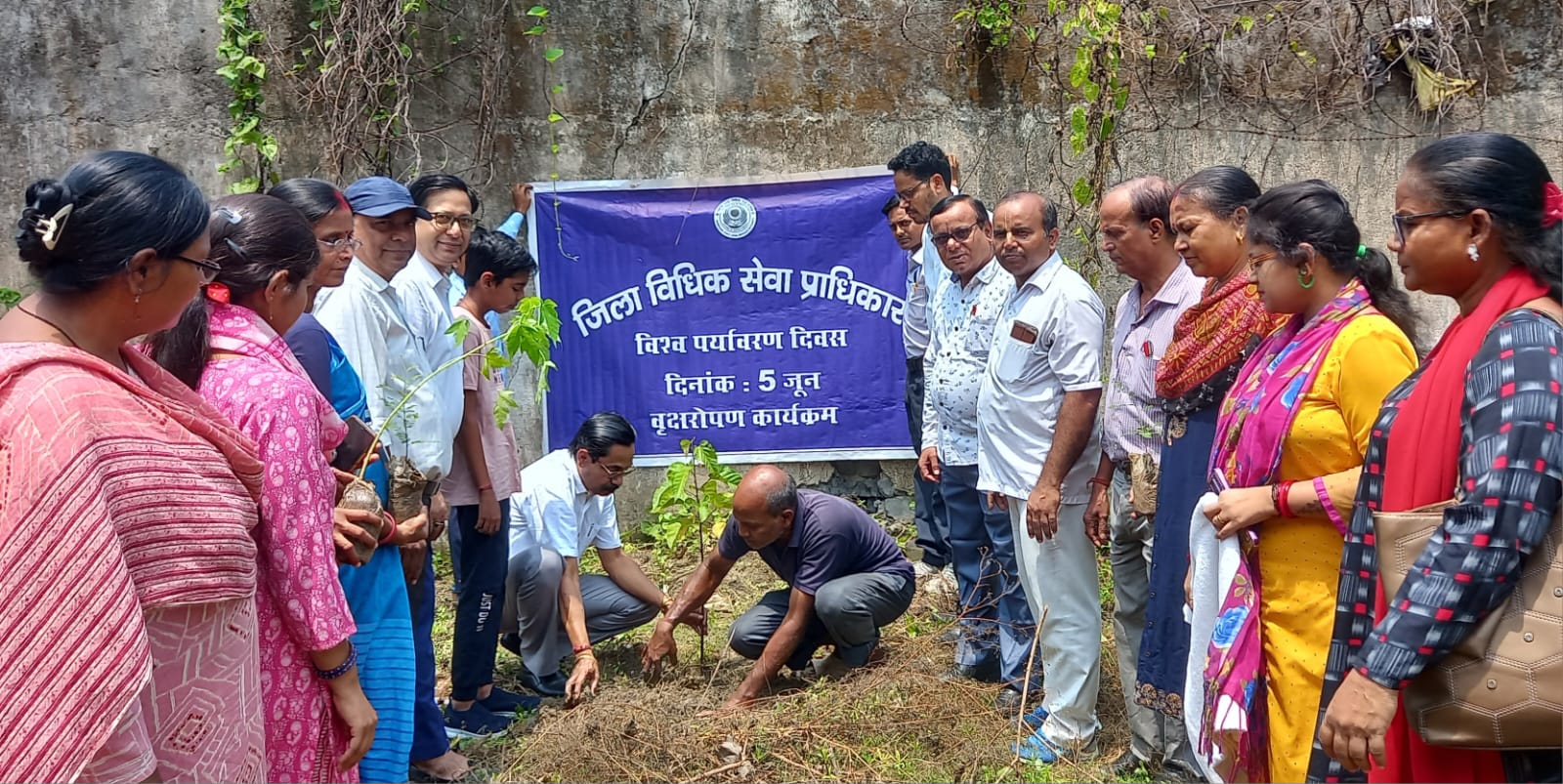 Jamshedpur: सिविल कोर्ट परिसर में हरियाली की सौगात, फलदार और छायादार पौधों का रोपण