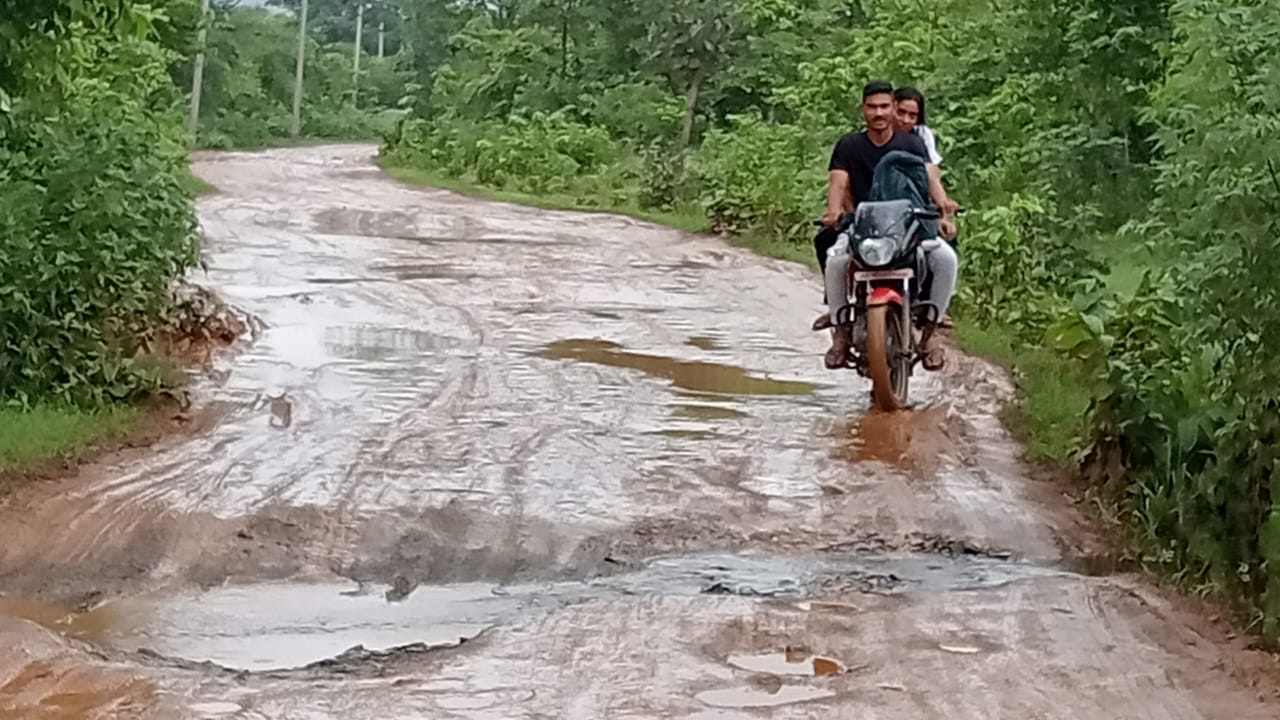 Saraikela: दलमा में सड़क की हालत ने रोका जंगल सफारी का उत्साह, इको-पर्यटन के नाम पर लूट और लाचारी की दास्तान