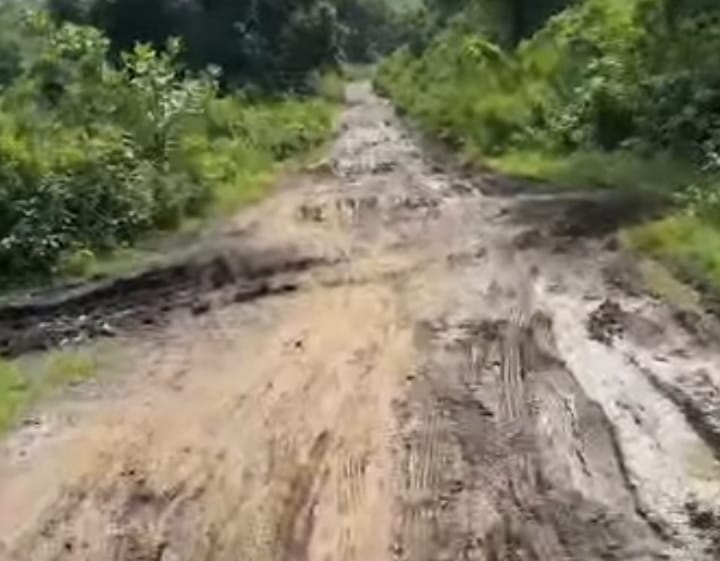 Chandil: बारिश में कीचड़ और फिसलन से ग्रामीण बेहाल, दर्जनों बार गुहार – फिर भी नहीं बनी सड़क