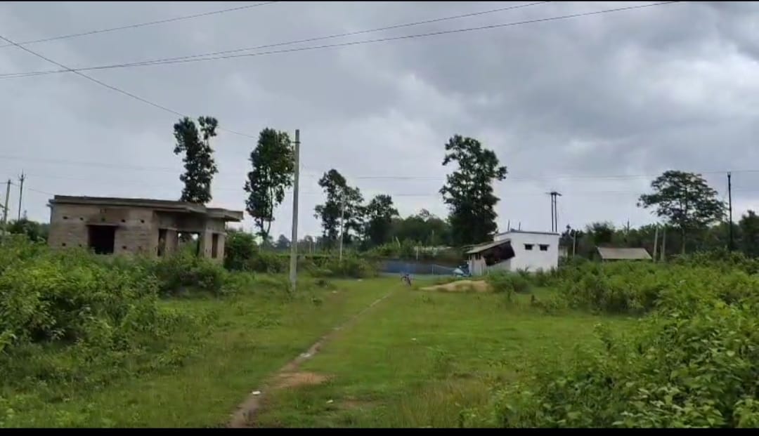 Jhargram: झाड़ग्राम का पर्यावरणीय संतुलन खतरे में, पेड़ कटे – सवाल बचे