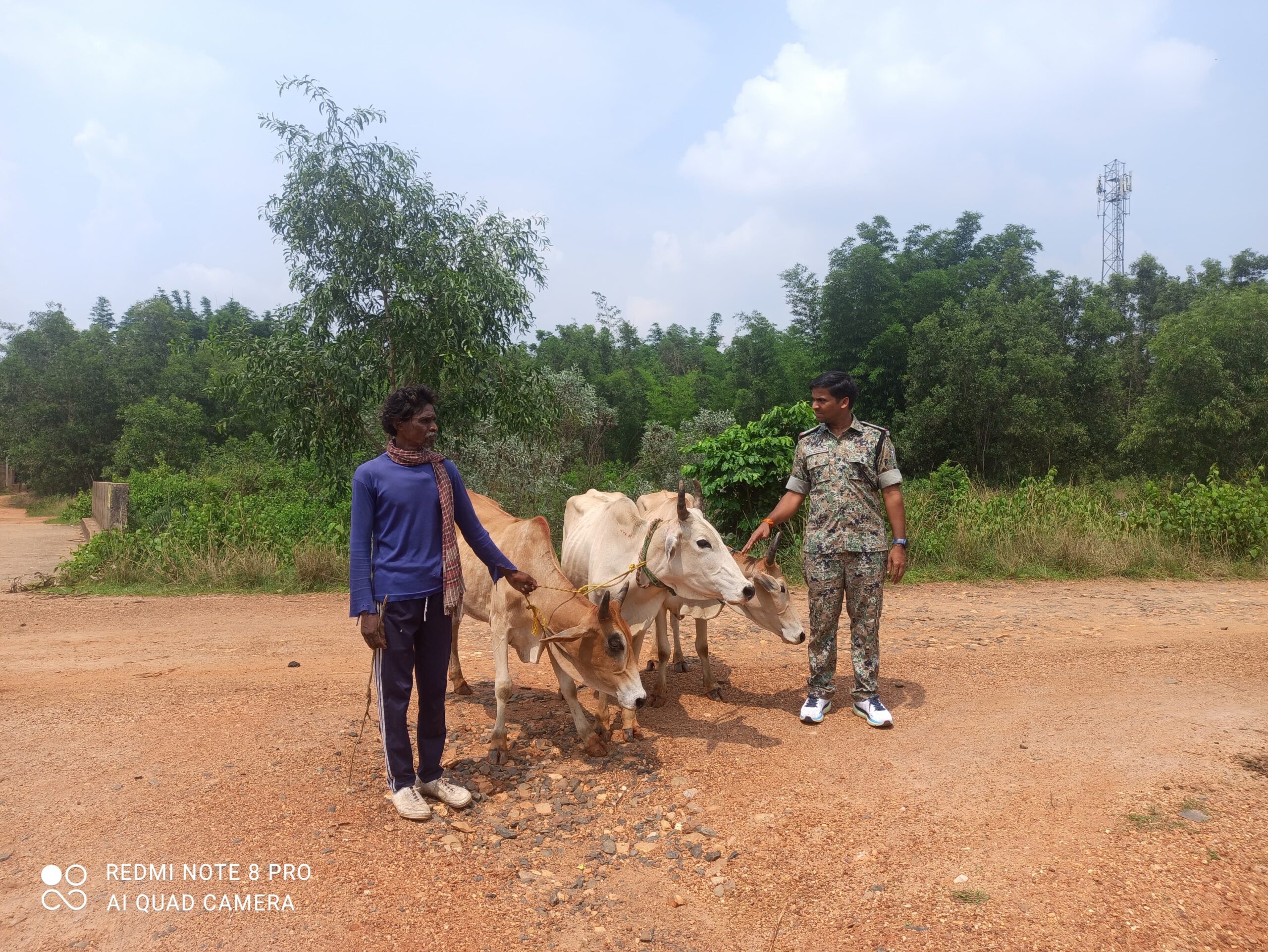 Bahragora: गो-तस्करी पर बहरागोड़ा पुलिस की बड़ी कार्रवाई, ग्रामीणों को सौंपे गए जब्त मवेशी