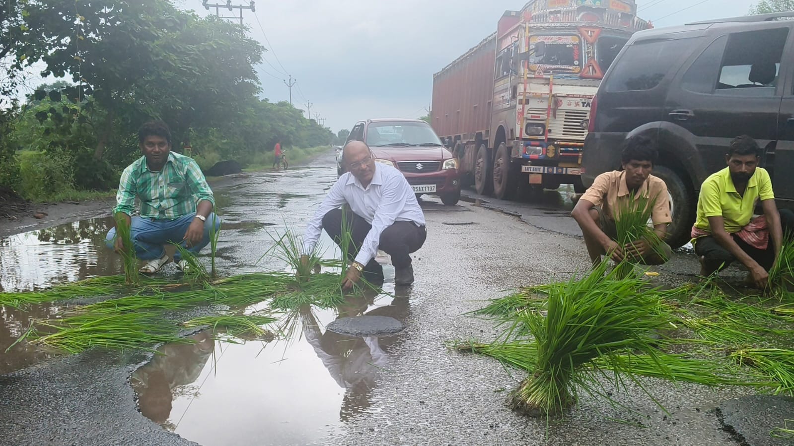 Saraikela: सड़क के गड्ढों में फंसा विकास, धान रोप कर किया विरोध – टोल वसूली बंद करने की मांग