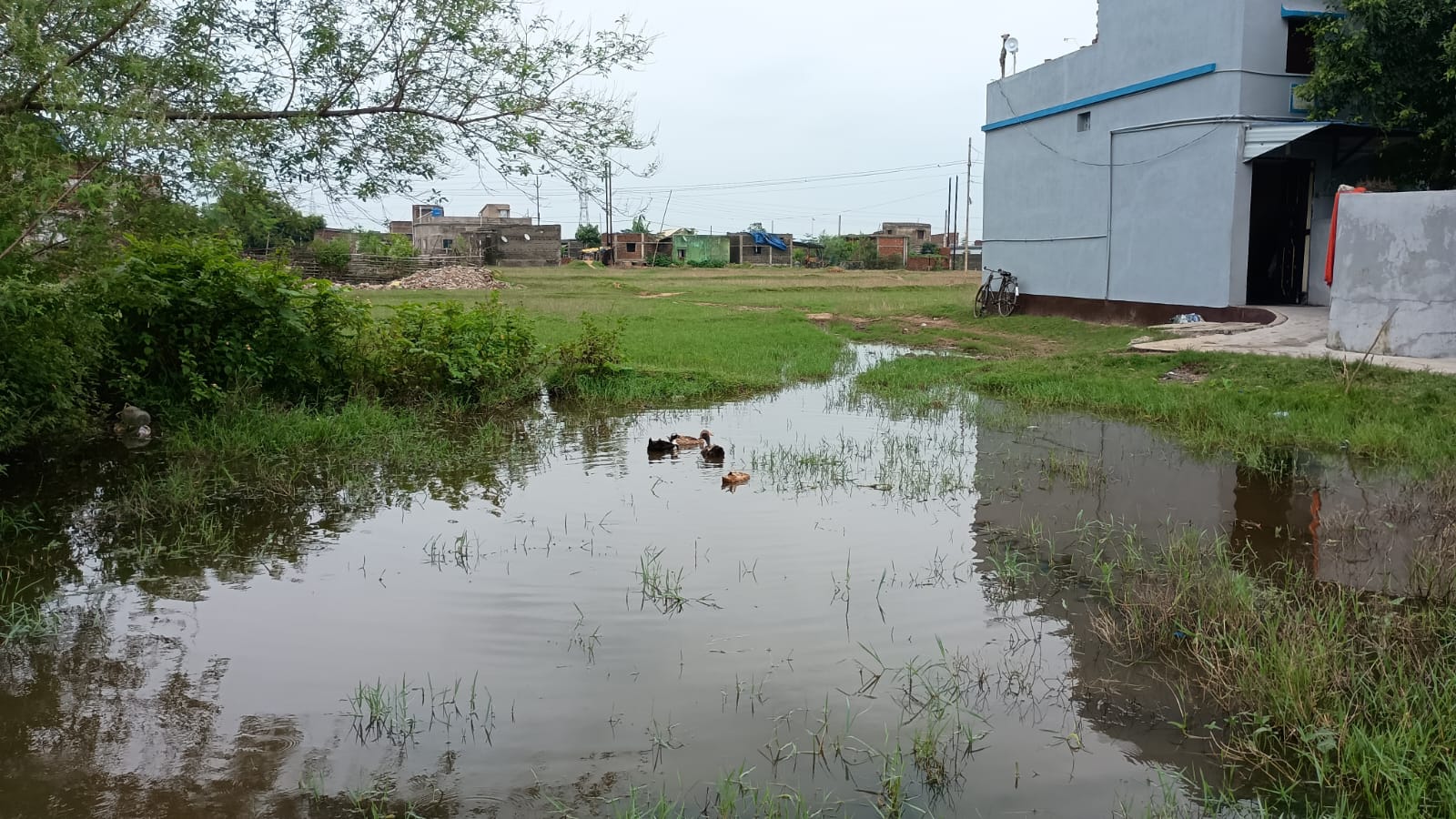 Jadugora: बरसात में टापू बन गया रामनगर, लोग बोले – ‘बीमारी हो तो राम भरोसे’