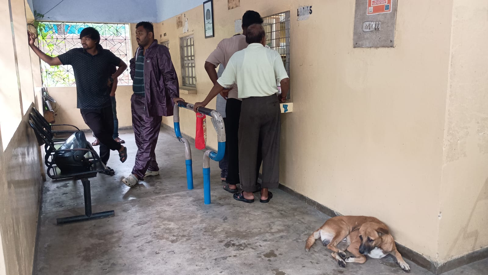 UCIL स्पताल बना कुत्तों का आरामगृह, सात महीनों में 344 लोग बने शिकार