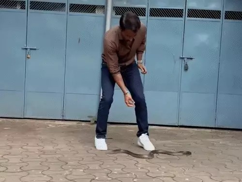 Sonu Sood: सोनू सूद ने सोसाइटी में घुसे सांप को खुद पकड़ा, कहा – चल बेटा, अब तुझे छोड़ के आते हैं