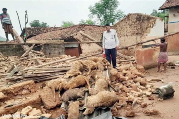 Jamshedpur : कोवाली में बारिश से कच्चा मकान गिरा, 12 भेड़ों की मौत, बैल घायल