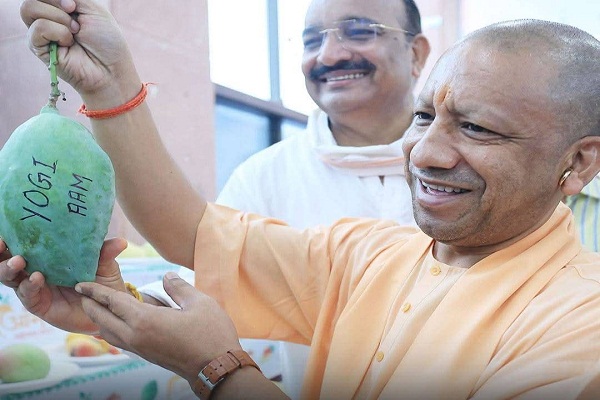 Lucknow : आम महोत्सव 2025 का शुभारंभ, ‘योगी आम’ बना आकर्षण का केंद्र