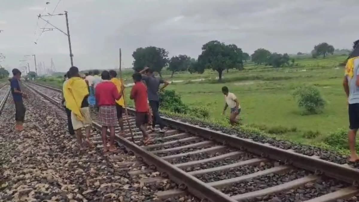Bihar: दानापुर रेलखंड पर दर्दनाक हादसा, ट्रेन की चपेट में आने से 600 भेड़ों की मौत