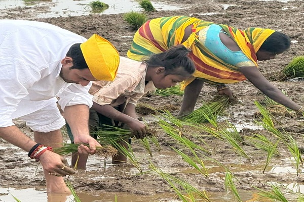 Unique style : तेज प्रताप यादव ने भोजपुर के स्थानीय किसानों संग खेत में की धान की रोपनी