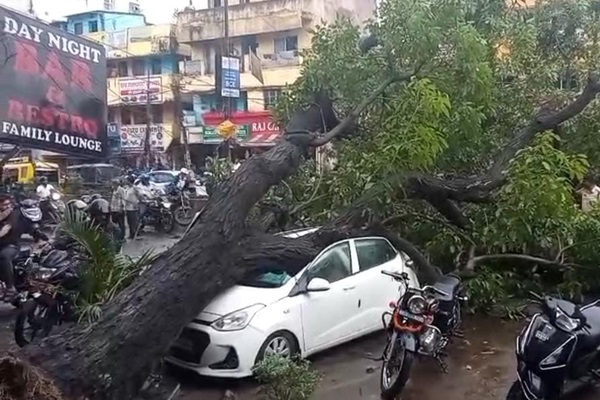 Jamshedpur : साकची में बारिश के बाद पेड़ सड़क पर गिरा, यातायात हुआ ठप