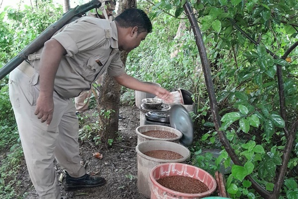 Ghatsila : अवैध शराब पर बड़ी कार्रवाई, पांच भट्ठियां ध्वस्त